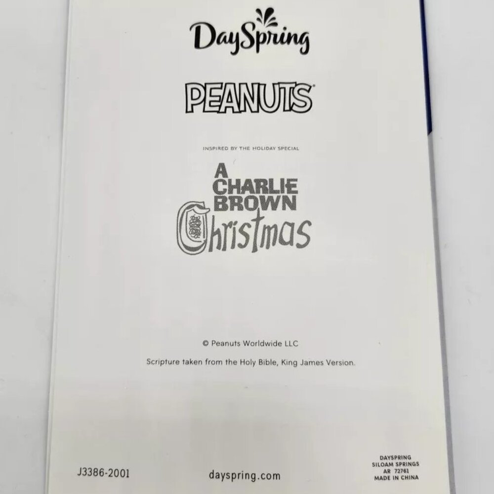 10 DaySpring Christmas Cards Peanuts Charlie Brown Good Tidings Great Joy KJV - Picture 7 of 8